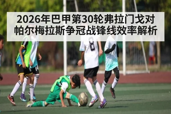 2026年巴甲第30轮弗拉门戈对帕尔梅拉斯争冠战锋线效率解析